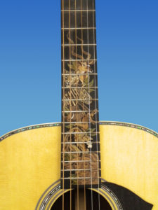 African fretboard